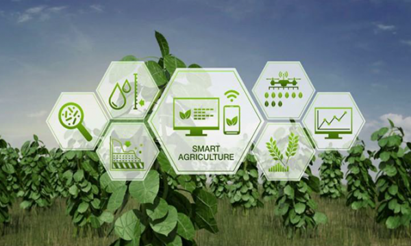 Seminari aa 23-24 del Corso di Laurea Magistrale in Biotecnologie per la Gestione Ambientale e l'Agricoltura Sostenibile