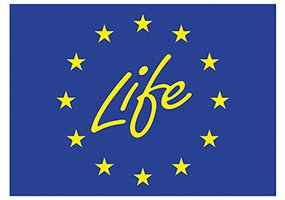 Life logo