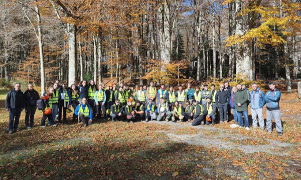 Esercitazioni collegiali dei corsi di laurea forestali.