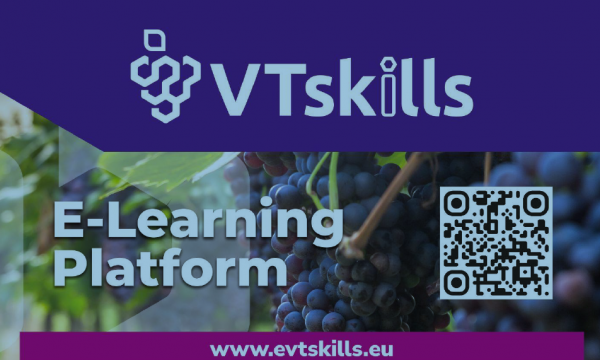 Innovazione e Sostenibilit&agrave; con il progetto VTSkills