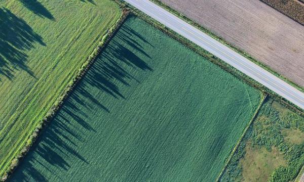 INCARICO DI LAVORO AUTONOMO 