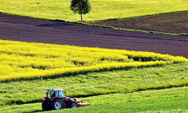 INCARICO DI LAVORO AUTONOMO