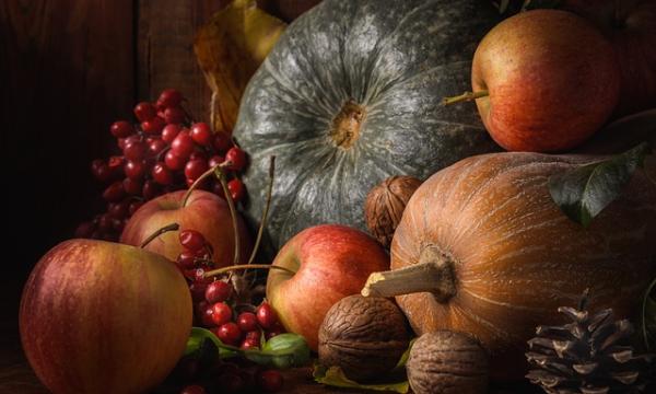 INCARICO DI LAVORO AUTONOMO 