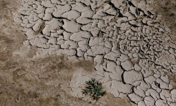 INCARICO DI LAVORO AUTONOMO