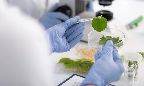 INCARICO DI LAVORO AUTONOMO