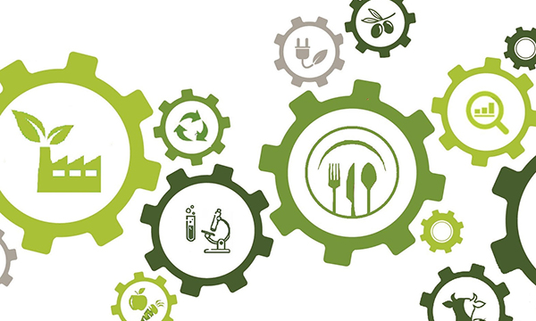 Scopri il nuovo corso di laurea magistrale in Food Design e Innovazione dei Prodotti Alimentari