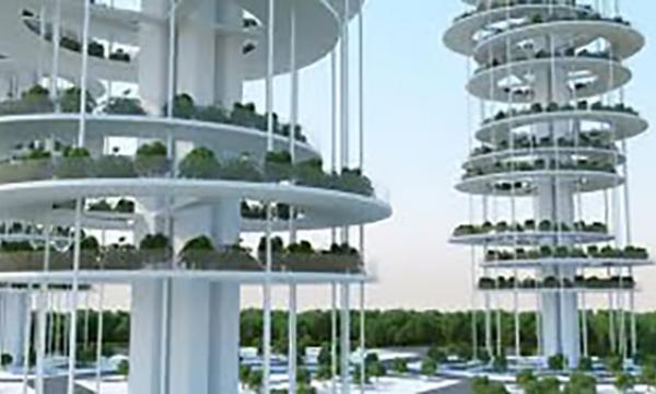 INCARICO DI LAVORO AUTONOMO 