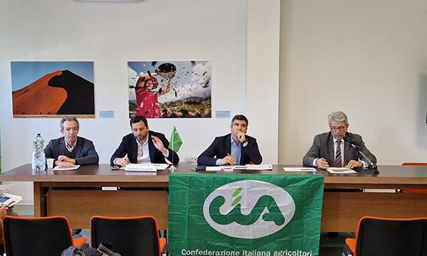 Premio di laurea dedicato a Roberto Chiti 