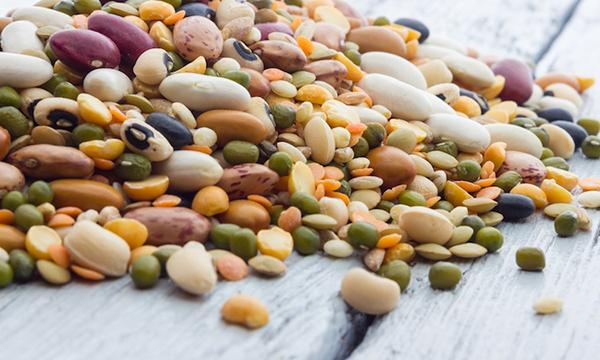 Decreto di approvazione atti