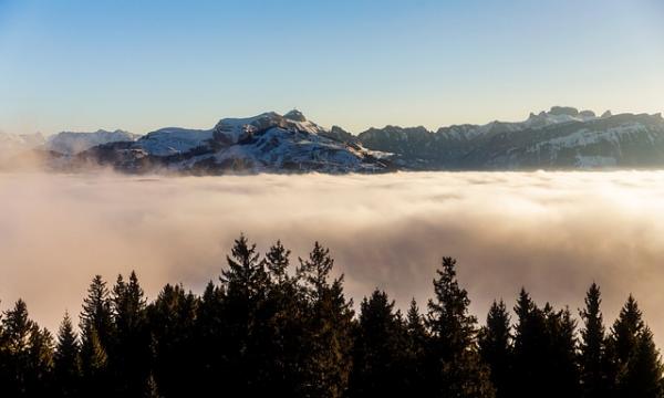 Nomina Commissione - Bando per la copertura dell&rsquo;insegnamento