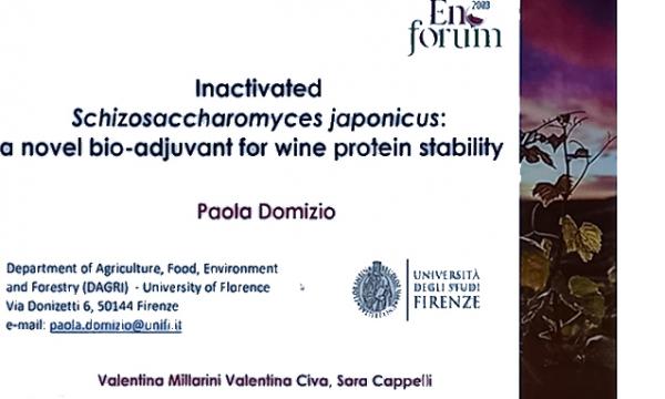 Premio Enoforum 2023.