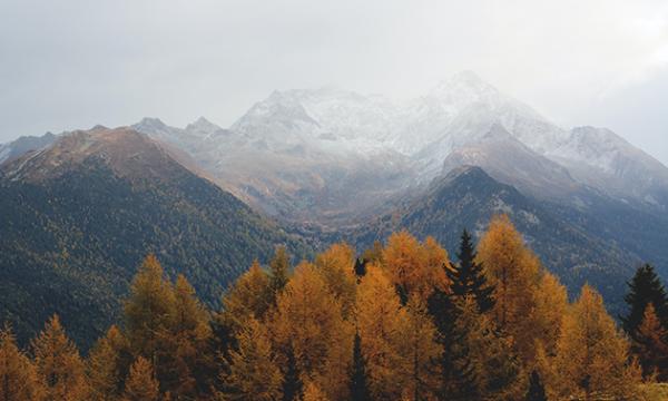 BORSA DI RICERCA