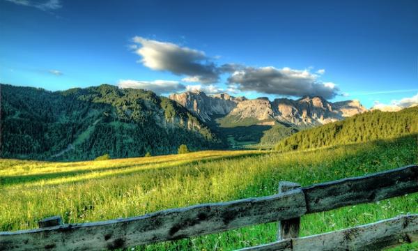 INCARICO DI LAVORO AUTONOMO 