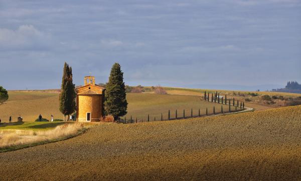 INCARICO DI LAVORO AUTONOMO