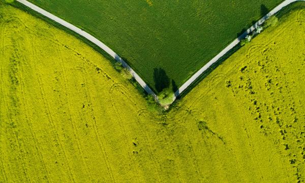 CONCORSO PER L&rsquo;AMMISSIONE AL CORSO DI DOTTORATO DI RICERCA 