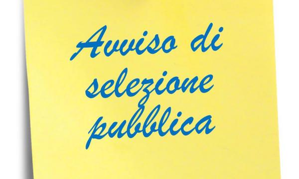 Bando per premio di laurea Fondazione Carlo e Giulio Marchi 