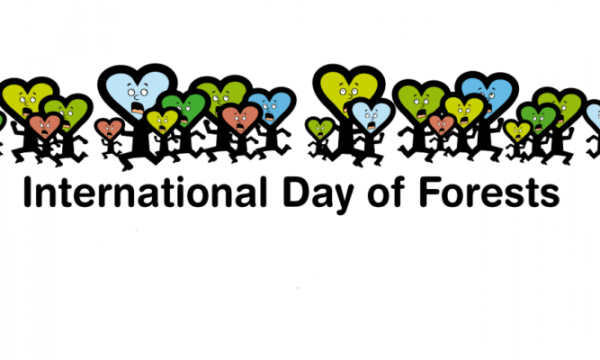 Giornata Internazionale delle Foreste