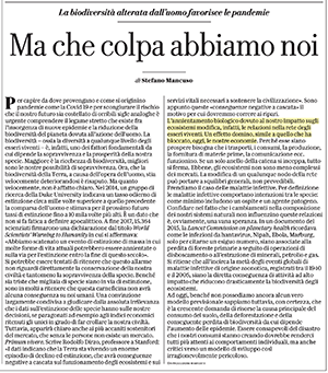 mancuso - articolo su repubblica