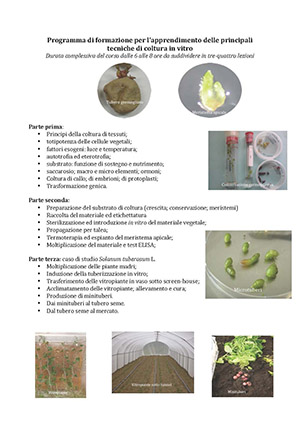 programma corso di coltura in vitro