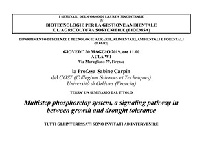 seminario 30 maggio