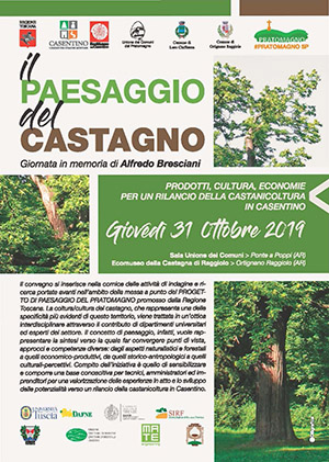 convegno castadna