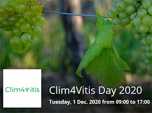Clim for Vitis