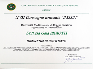 premio bigiotti