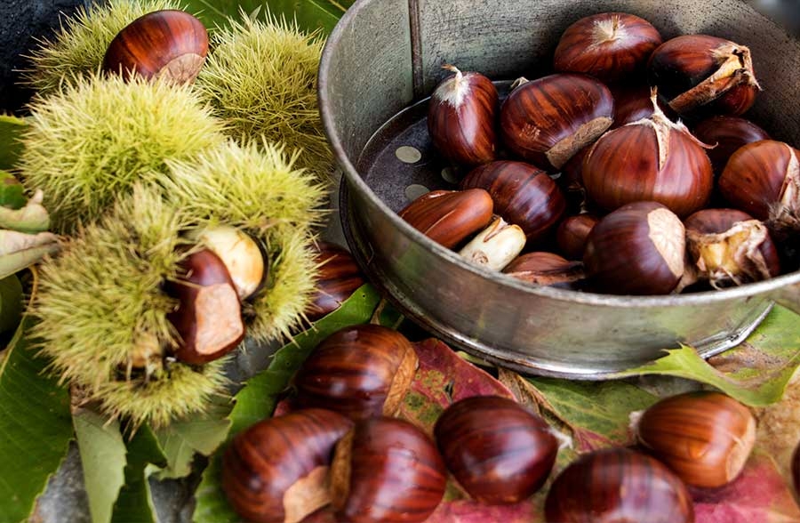Marroni