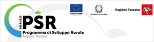 Programma Sviluppo Regionale Toscana