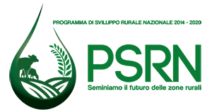 PSRN-2020logo
