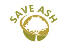 SAVEASH lago
