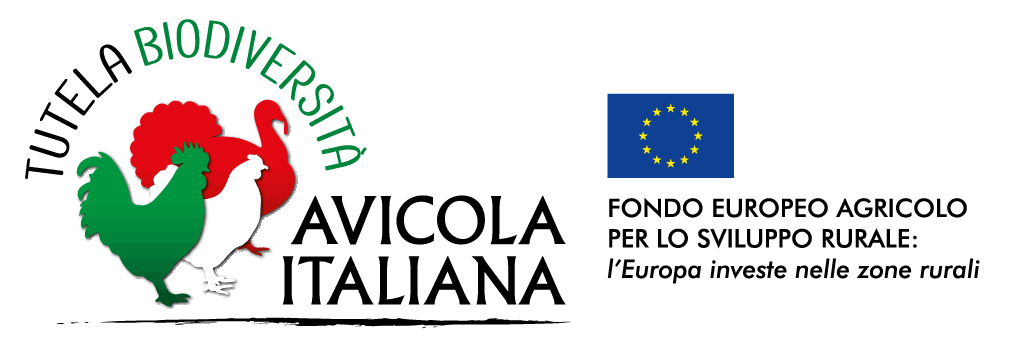 Logo Avicola Italiana