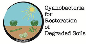 Cyano4REST logo