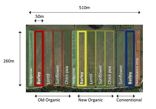 fig6a.jpg